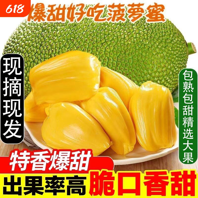 当季海南黄肉菠萝蜜新鲜现摘一整个干苞木菠萝特产热带水果假榴莲