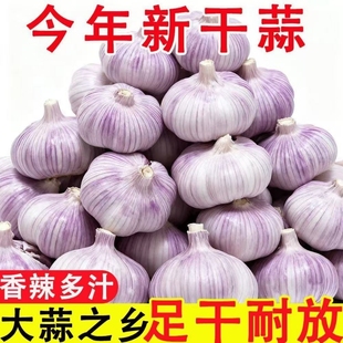 山东紫皮大蒜头新干蒜大蒜大蒜头批发整箱新鲜大蒜头 特大干蒜