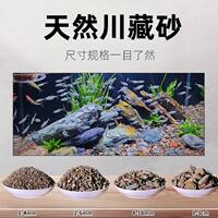 Stream stone fish tank landscaping special no-wash bottom sand and gravel, natural bottom sand, aquatic plants, South American tank sand decorative ornaments thumbnail 4