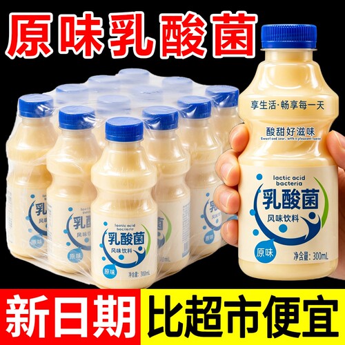 原味乳酸菌风味饮品0脂早餐学生