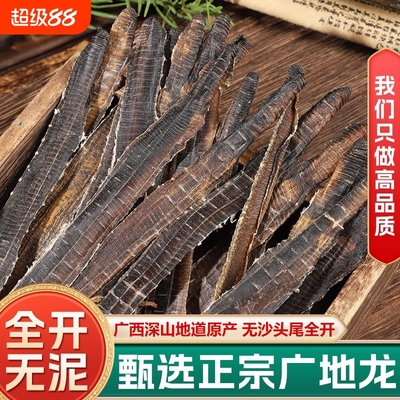 深山广地龙中药材广西全开整条食