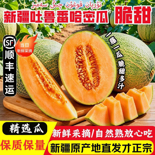 正宗新疆哈密瓜西州蜜25号