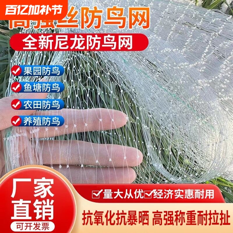 农用鱼线材质防鸟天网果树葡萄樱桃防鸟网鱼虾蟹池塘稻谷防鸟网