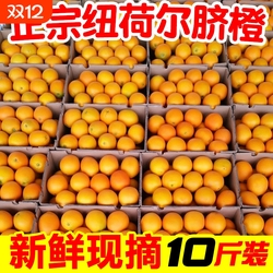 下拉8.9元！正宗湖南纽荷尔脐橙4.5斤