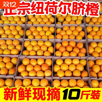 一级正宗脐橙带箱10斤包邮当季新鲜水果湖南纽荷尔橙子整箱手剥橙