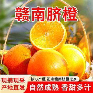 正宗赣南脐橙江西赣州脐橙新鲜橙子特级大果农场直发孕妇手剥橙