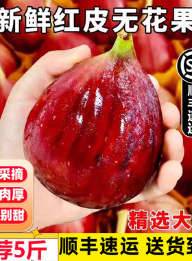【顺丰】四川红皮新鲜无花果鲜果大果鲜无花果紫皮无花果新鲜现摘