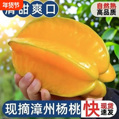 树上熟现摘漳州杨桃5斤水果新鲜