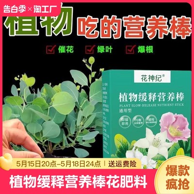 植物营养棒绿植盆栽长效缓释肥料