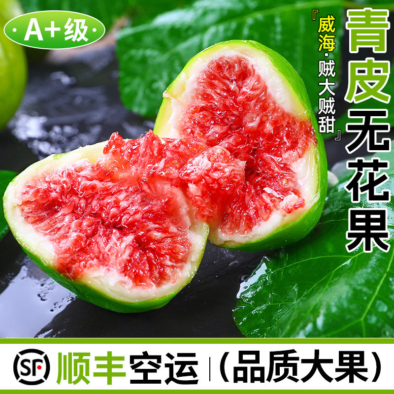 新鲜青皮无花果大果糖包非红皮水果威海当季特产孕妇水果顺丰包邮