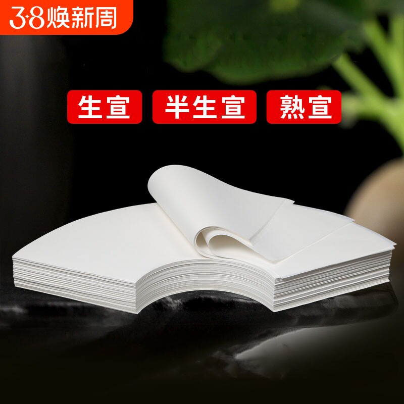 扇形半生熟国画纸芯工笔画书法作品用纸生宣熟宣白描扇面软笔写意山水水墨画白色仿古宣纸空白画芯初学者专用