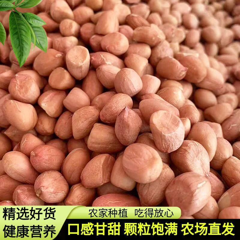 白沙花生米农家自种生花生豆不带壳白沙花生仁河南特产级榨油