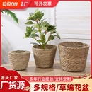 收纳插花编制 栗子小熊抱抱桶编织花篮植物盆栽草编花盆节日爆款