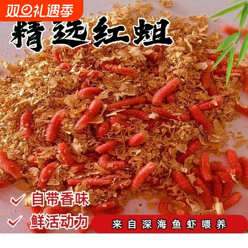 鲜活红蛆虫鱼饵鳊鱼神饵野钓蛋白饵料溪流河流爆护饵罗非翘嘴昆虫