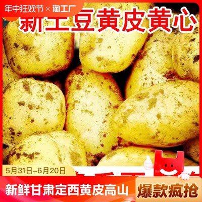 新鲜甘肃定西黄皮土豆高山黄心洋芋大马铃薯沙面小土豆5斤整箱10