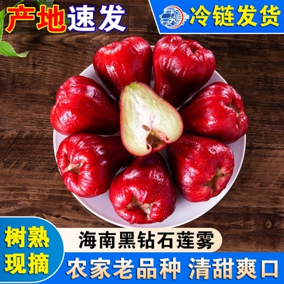 海南黑钻石莲雾新鲜莲雾果三亚特产水果红宝石脆甜爽口农家种植