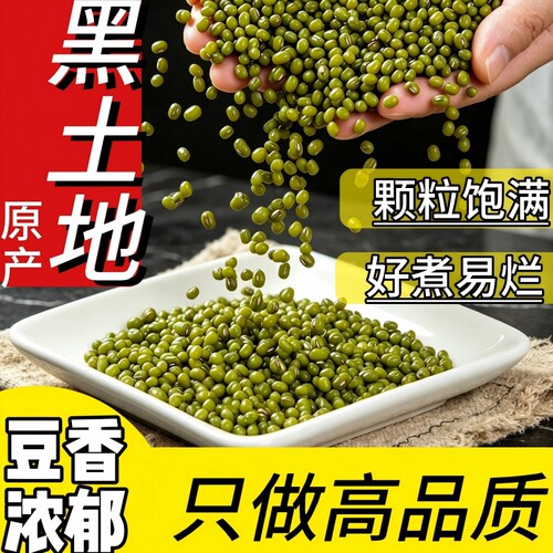 东北黑土地优质农家小颗粒绿豆新鲜绿豆易煮易出沙优选饱满大粒粥