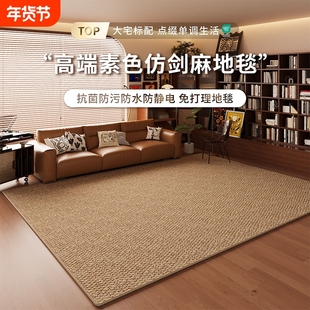 仿剑麻地毯客厅耐磨仿猫爪免洗侘寂中古风地垫奶油高级卧室床边毯