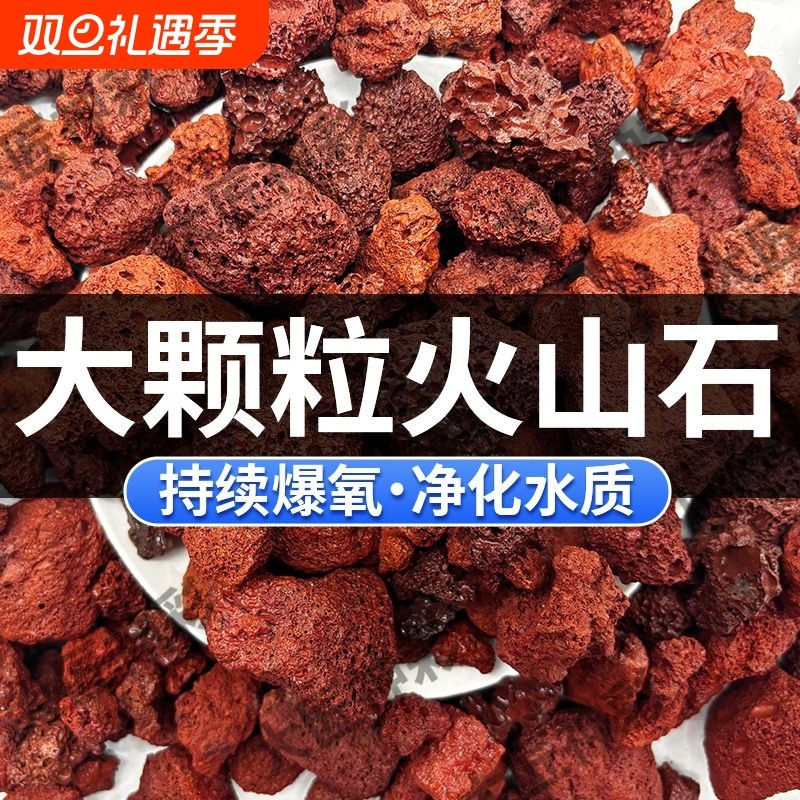 火山石小颗粒盆栽水族通用天然免洗玄武岩营养土铺面垫底天然滤材