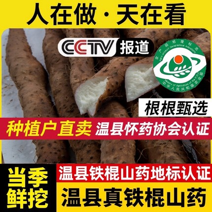 河南焦作温县正宗垆土铁棍山药怀杆淮山药官方旗舰店新鲜5斤整箱
