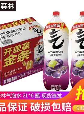 元气森林气泡水2L大瓶装0糖0脂0卡葡萄橙味柠檬聚会解腻白桃夏黑