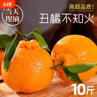 四川不知火丑橘水果新鲜整箱9当季斤桔子耙耙粑粑斤丑柑橘子现摘