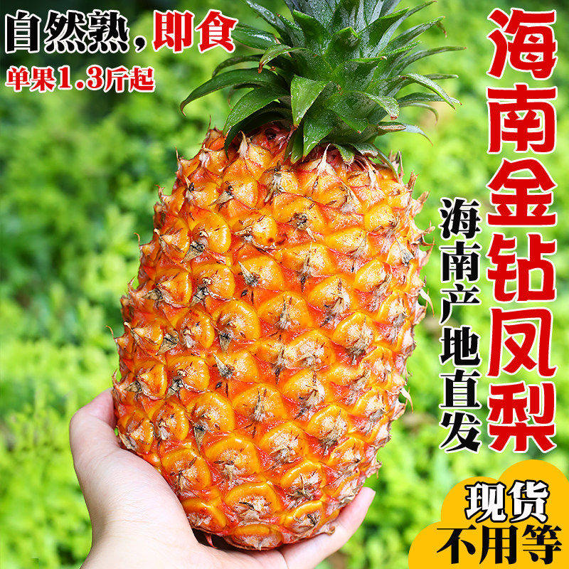 海南金钻凤梨台农17号手撕菠萝新鲜水果生鲜特大整箱包邮送礼特产