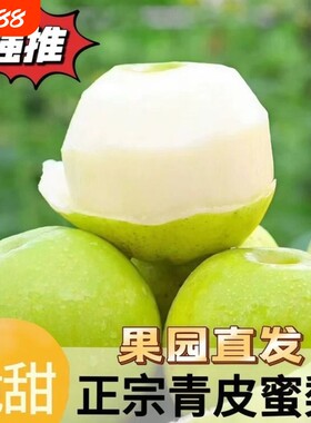 安徽青皮蜜梨酥脆1号正宗青皮翠冠梨子皇冠纯甜应季新鲜水果