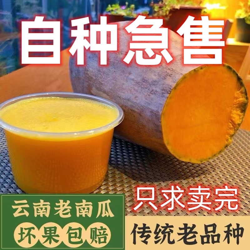 糯甜云南高原高山老南瓜宝宝辅食农村自种当季现摘蔬菜小南瓜食品 水产肉类/新鲜蔬果/熟食 南瓜 原图主图