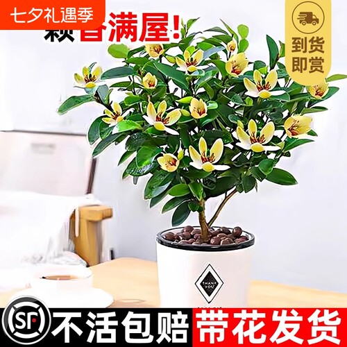 基地直销 新品特惠