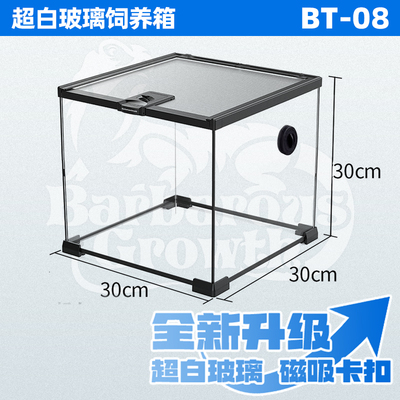 爬宠玻璃缸睫角守宫饲养箱鬃狮蜥蜴蛇角蛙树蛙蜘蛛爬虫生态雨林缸