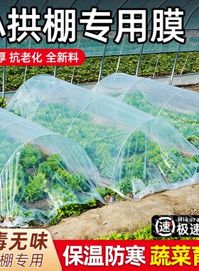 大棚蔬菜专用膜透明|千人回购