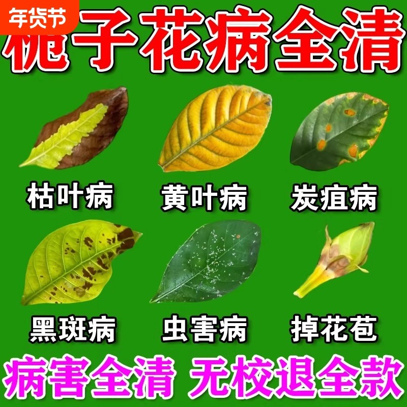 栀子花枯叶病专用肥炭疽病杀菌剂营养液叶子发黄掉叶掉花苞除菌剂,鲜花速递/花卉仿真/绿植园艺,家庭园艺肥料,淘宝优惠券,粉丝福利购,淘宝优惠卷