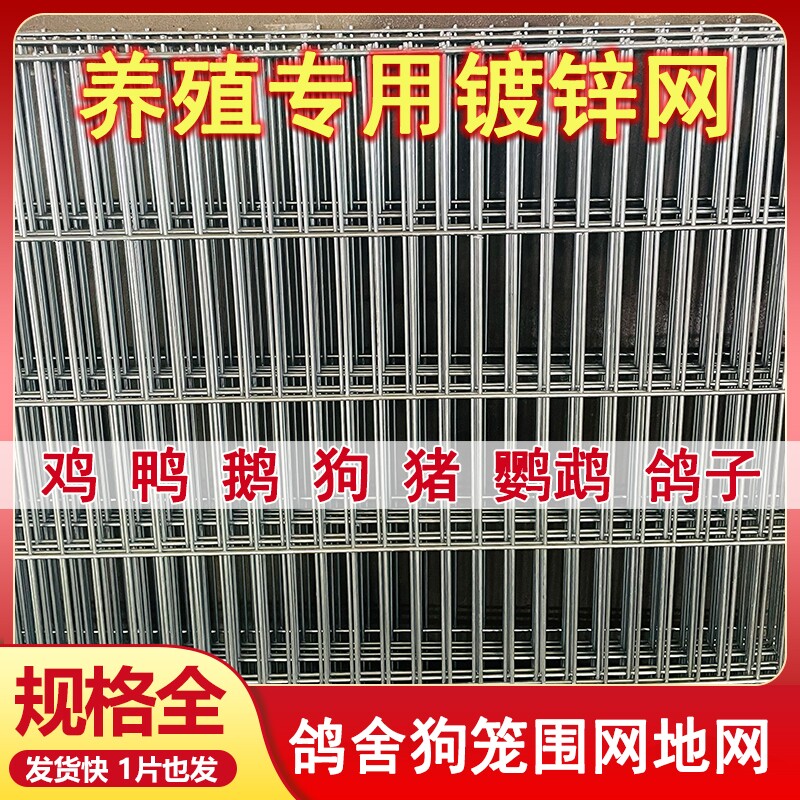 长孔镀锌铁丝网片狗笼鸽舍围栏踏网热镀锌养殖钢丝网加粗加密网格图片