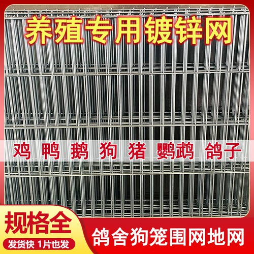 长孔镀锌铁丝网片狗笼鸽舍围栏踏网热镀锌养殖钢丝网加粗加密网格