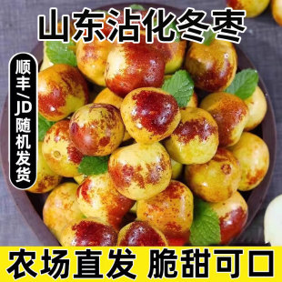 正宗山东沾化冬枣新鲜应当季 水果礼盒脆甜枣子大整箱5斤产地直发