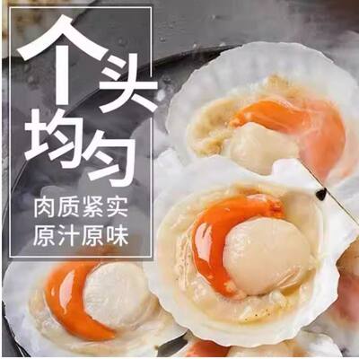 蒜蓉粉丝夏夷扇贝冷冻夏夷贝吊笼贝夏威夷贝半壳扇贝大带壳贝烧烤