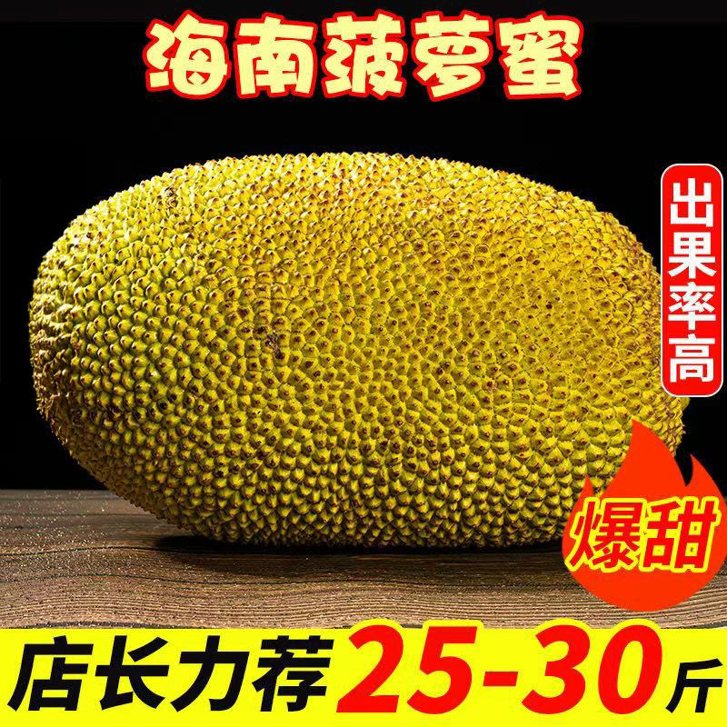 海南黄肉菠萝蜜新鲜水果波罗水果新鲜当季红三亚特产一整个包邮,水产肉类/新鲜蔬果/熟食,菠萝蜜,淘宝优惠券,粉丝福利购,淘宝优惠卷