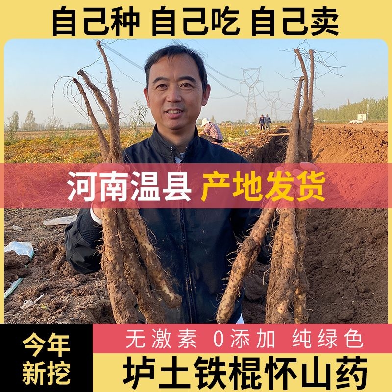 铁棍山药河南焦作温县正宗垆土怀淮山药新鲜铁杆蔬菜药性批发包邮