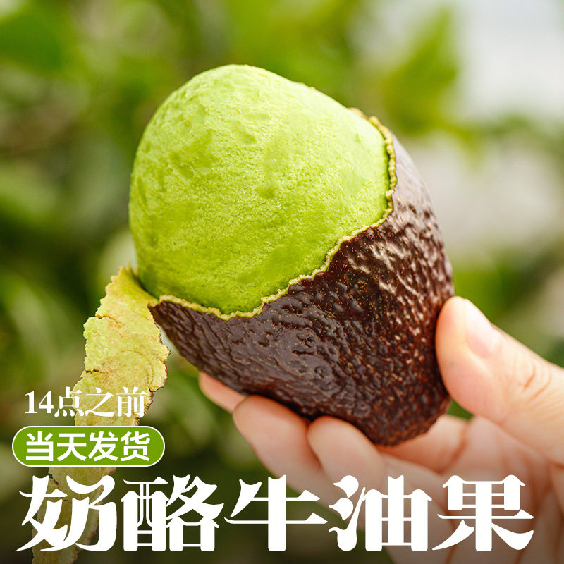 秘鲁进口牛油果大果奶油宝宝孕妇宝宝新鲜水果鳄梨奶即食细腻当季,水产肉类/新鲜蔬果/熟食,牛油果,淘宝优惠券,粉丝福利购,淘宝优惠卷