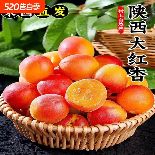 正宗精选陕西贵妃小红杏新鲜当季孕妇水果现摘鲜甜多汁胭脂蜜杏