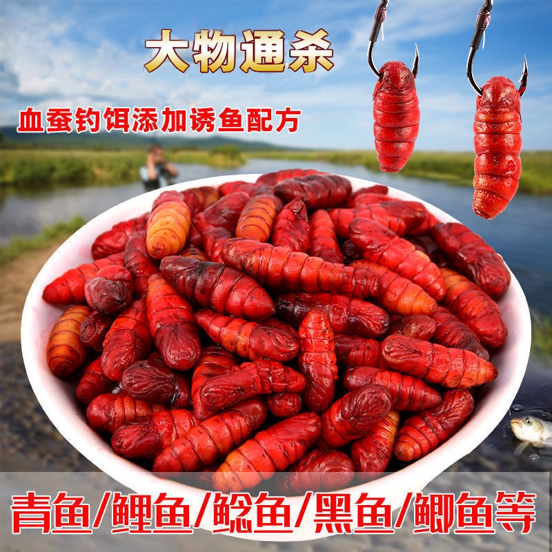 小药鱼饵料野钓青鱼饵鲤鱼饵草鱼饵鲫鱼饵料6号打窝蛋白搞定钓饵
