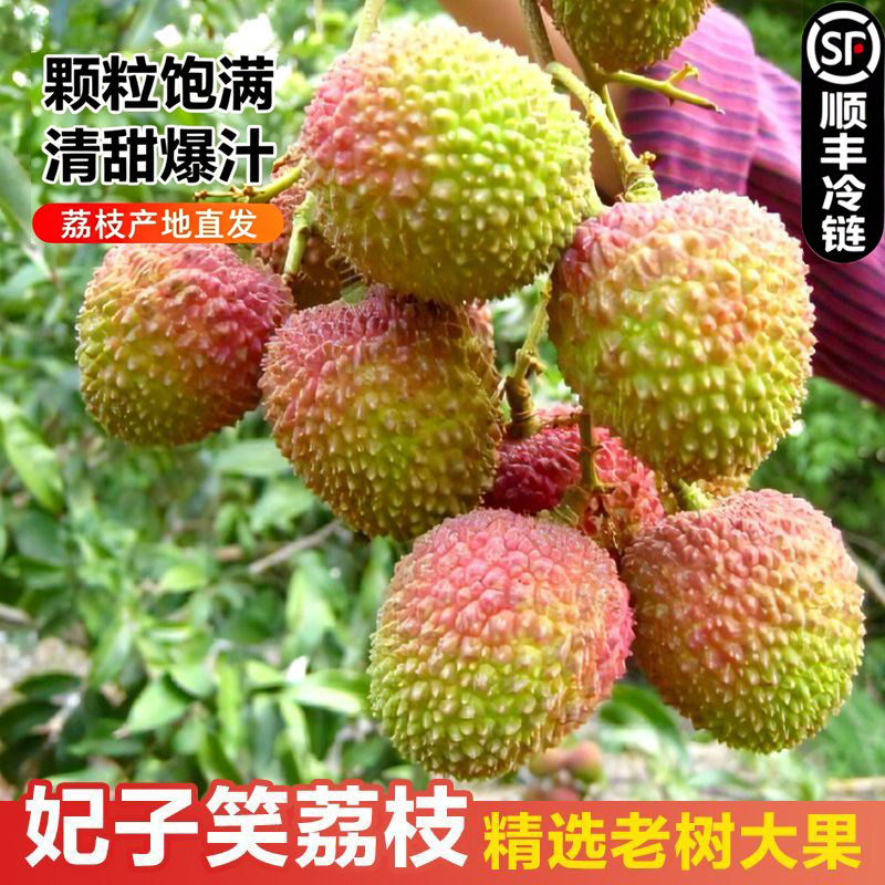顺丰包邮现摘2026一箱海南5斤妃子笑荔枝新货上市当季新鲜水果
