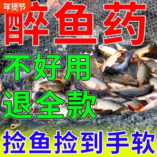 醉鱼药特效晕鱼湖泊水库鱼塘醉鱼一塘清鱼用麻醉鱼捕鱼醉鱼神器