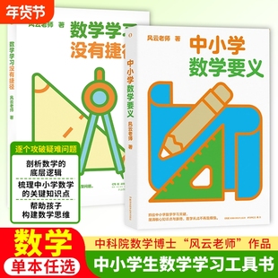 数学学习没有捷径 +中小学数学要义 数学启蒙工具书 高中数学高数书籍数学书奥数书籍新加坡奥数 湖南科学技术出版社