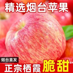 正宗烟台红富士苹果礼盒装 80mm大果 新鲜水果 节日送礼有面