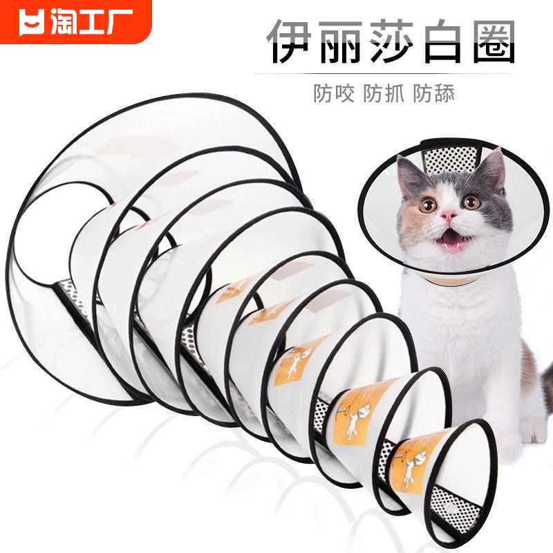 伊丽莎白圈猫咪狗狗头套防舔