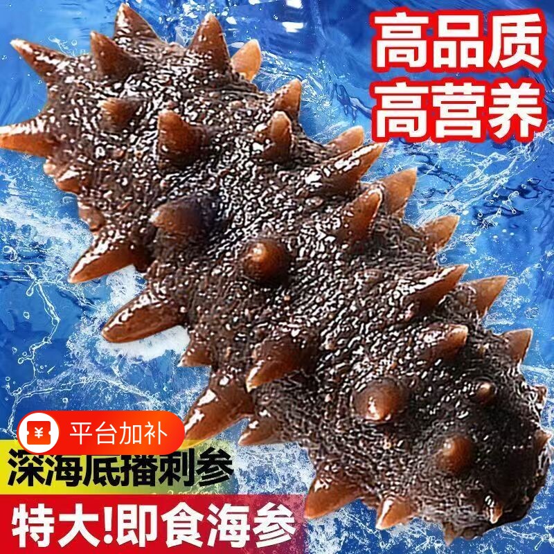 海参即食大连辽参礼盒鲜活开袋独立包装刺参非淡干正品官方旗舰店