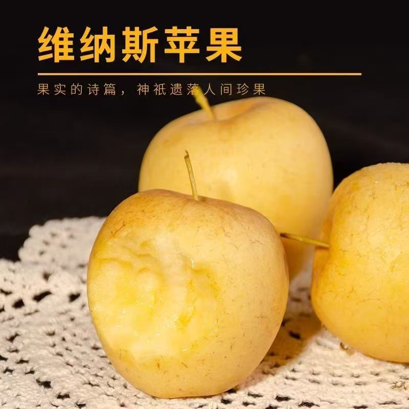 纯甜雀斑维纳斯黄金苹果香甜冰糖奶油苹果新鲜应季水果非奶油富士