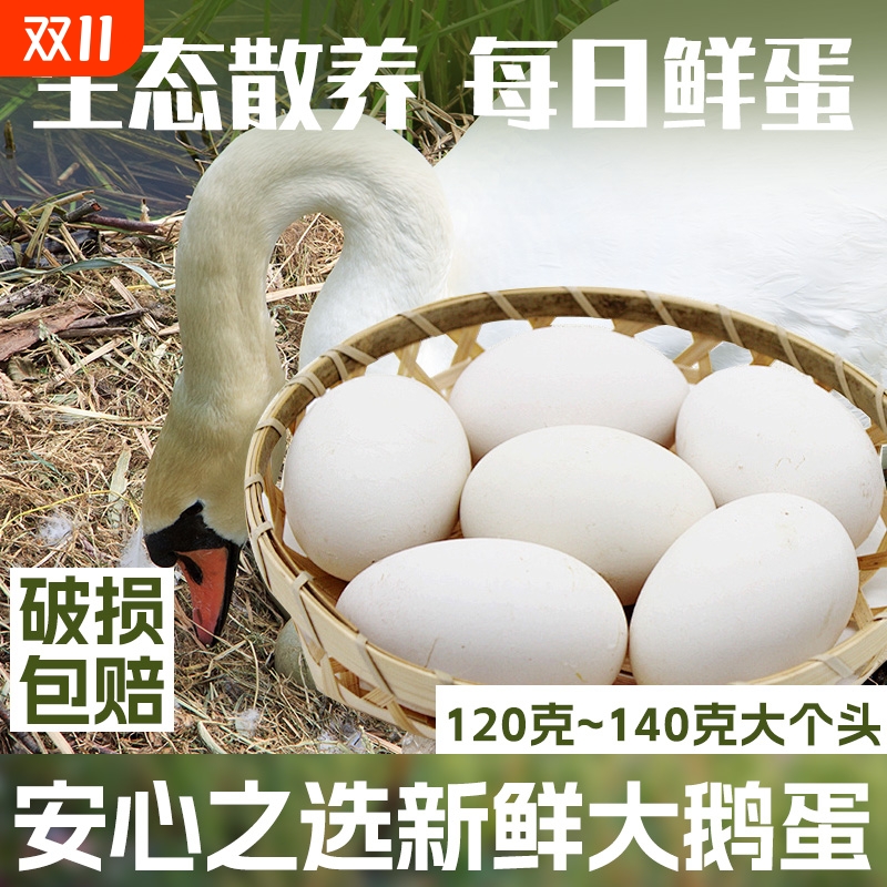 鹅蛋农家散养新鲜12枚正宗土鹅蛋